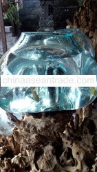 Mini Aquarium Glass Vase on Wood