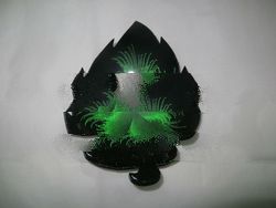 Lacquer coconut bowl