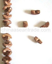 Wood Beads