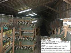 KAPGREEN COCONUT CIDER VINEGAR