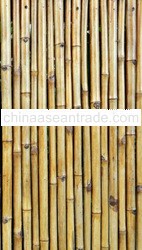 BAMBOO FENCE ROLLS BFR4