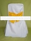 Chair Cover