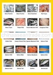 Company Brochure ( Page 2-9 )