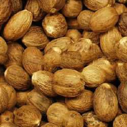 Dried Nutmeg