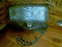 python skin bag