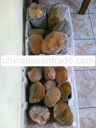 ROUGH TIANHUANG STONE