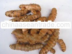 Fresh Turmeric Finger