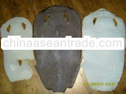 stingray skin