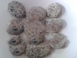 speckle beach pebble stone