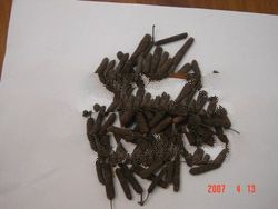 Long Pepper