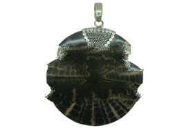Spider Shell Pendent Sterling Silver pendent