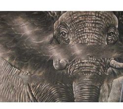 black elephant paintings