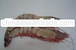 Frozen Giant Sea Tiger Prawn For Sale