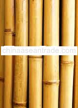 BAMBOO FENCING bfp07