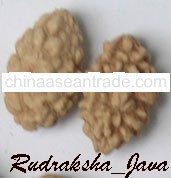 Rudraksha Oval Bead