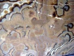 golden onyx