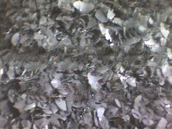 Coconut Shell Charcoal