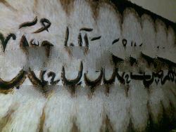 calligraphy shalawat