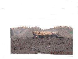 Steam Coal (Non Coking)