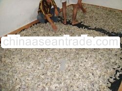 House Birdnest 200KGS