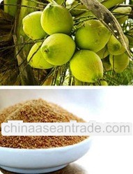 Coconut Sugar Powder
