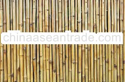 BAMBOO FENCING bfp4