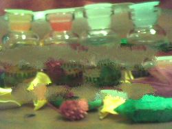 AROMATHERAPHY ESSENTIAL OIL