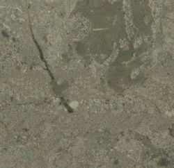 Gregorio Marble Tile - Grey Marble