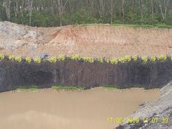  Steam Coal GCV 5,800 reject 5,600 Kcal / Kg