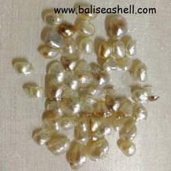 pink natural pearl or pinguina shell from