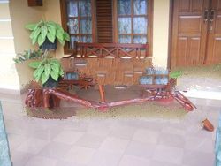 mahogany giant root table