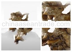 root display wooden craft