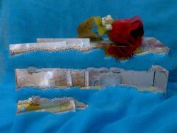 Hadi's Slimming product