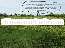 Land For Tourism