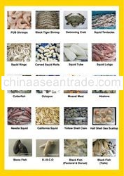 Company Brochure ( Page 4-9 )