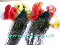 Peacocok Feather Earrings