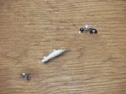 LACEMAKING LACE BOBBINS BONE&EBONY MOTHER/BABE