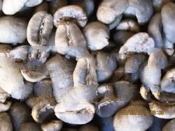 Toraja Arabica Green Bean