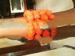 orange coral natural