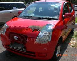 Kia Picanto 1.1M used car for export
