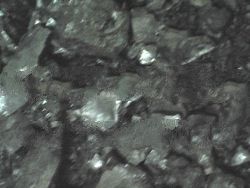 Steam Coal