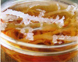 Deep Sea Bird Nest