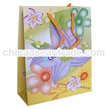 laminated non-woven gift bag