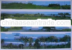 Bali Beachfront Land,Ideally for Hotel Industry