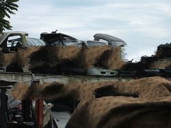 pre own used car and scrap cars