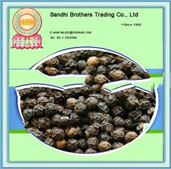 2013 black pepper seeds