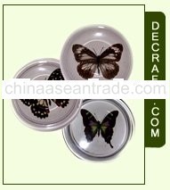 Butterfly Cup Cover