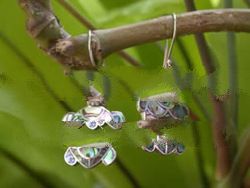 Balinese Earrings