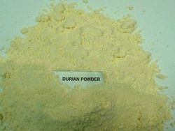 HACCP , HALAL , GMP , ISO 9001 Thailand's Freeze Dried Durian Powder