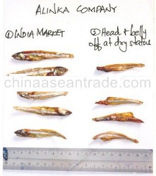 Dried Aquatic Products